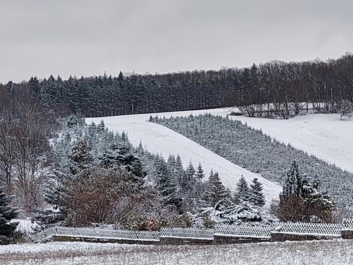 Pension Welserhof Wilfersdorf  Exteriör bild
