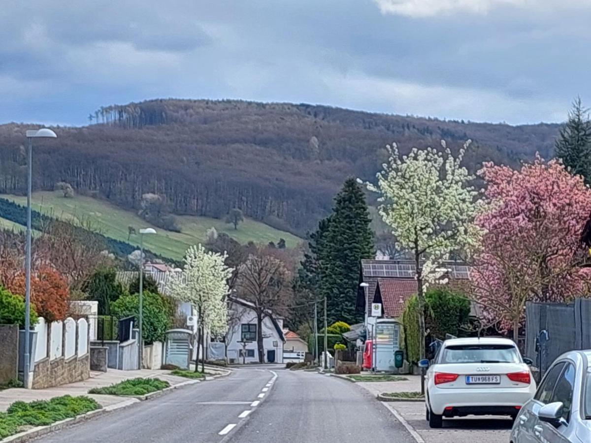 Pension Welserhof Wilfersdorf  Exteriör bild